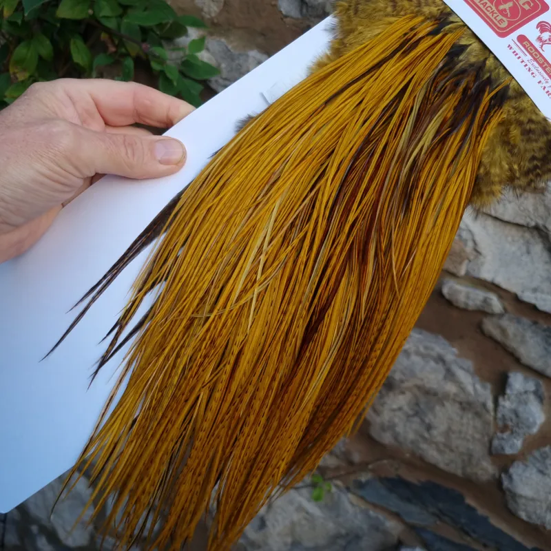 Whiting Pro-Grade Midge Rooster Saddle in THE DYE MASTERS Range Golden Olive Variant E-2